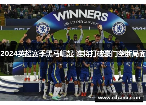 2024英超赛季黑马崛起 谁将打破豪门垄断局面