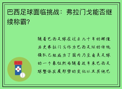 巴西足球面临挑战：弗拉门戈能否继续称霸？