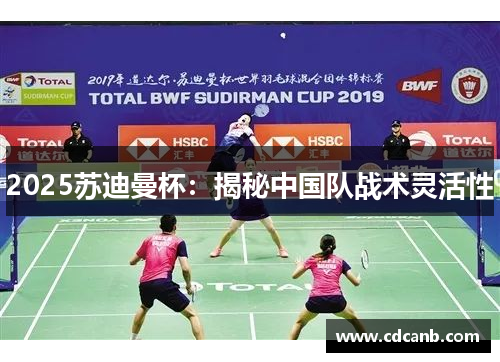 2025苏迪曼杯：揭秘中国队战术灵活性